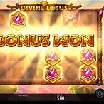 divine lotus slot